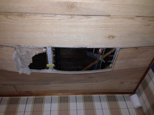 Water-Damaged Ceiling Planks